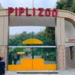 Pipli Zoo- Tourist places in kurukshetra