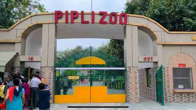 Pipli Zoo- Tourist places in kurukshetra